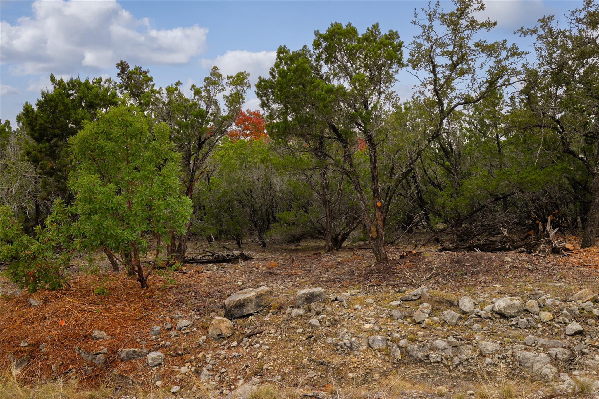 2900 Stagecoach Ranch LOOP