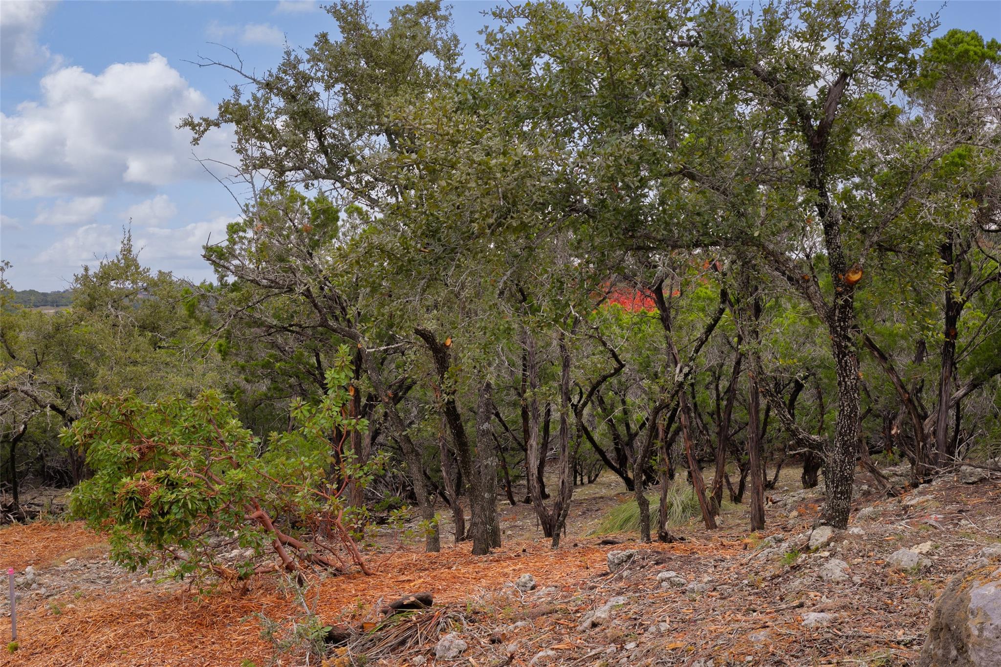 2900 Stagecoach Ranch LOOP