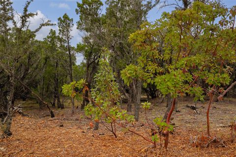 2900 Stagecoach Ranch LOOP Dripping Springs TX 78620