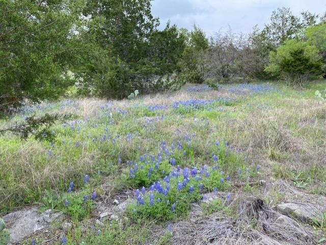 1365 Pedernales Hills RD