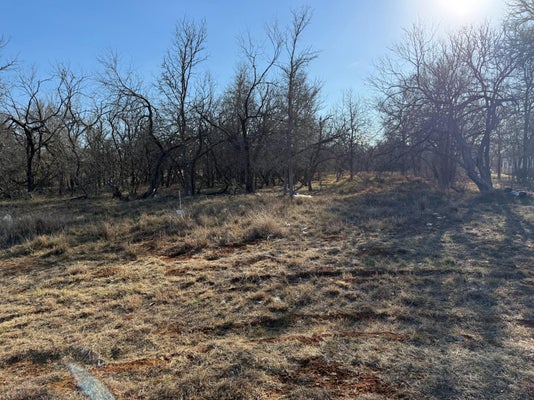 133 CHANDLER CV, CEDAR CREEK, TX 78612 - Image 1b9e66459593978f8e2c8a5dec00be0d/3968249358