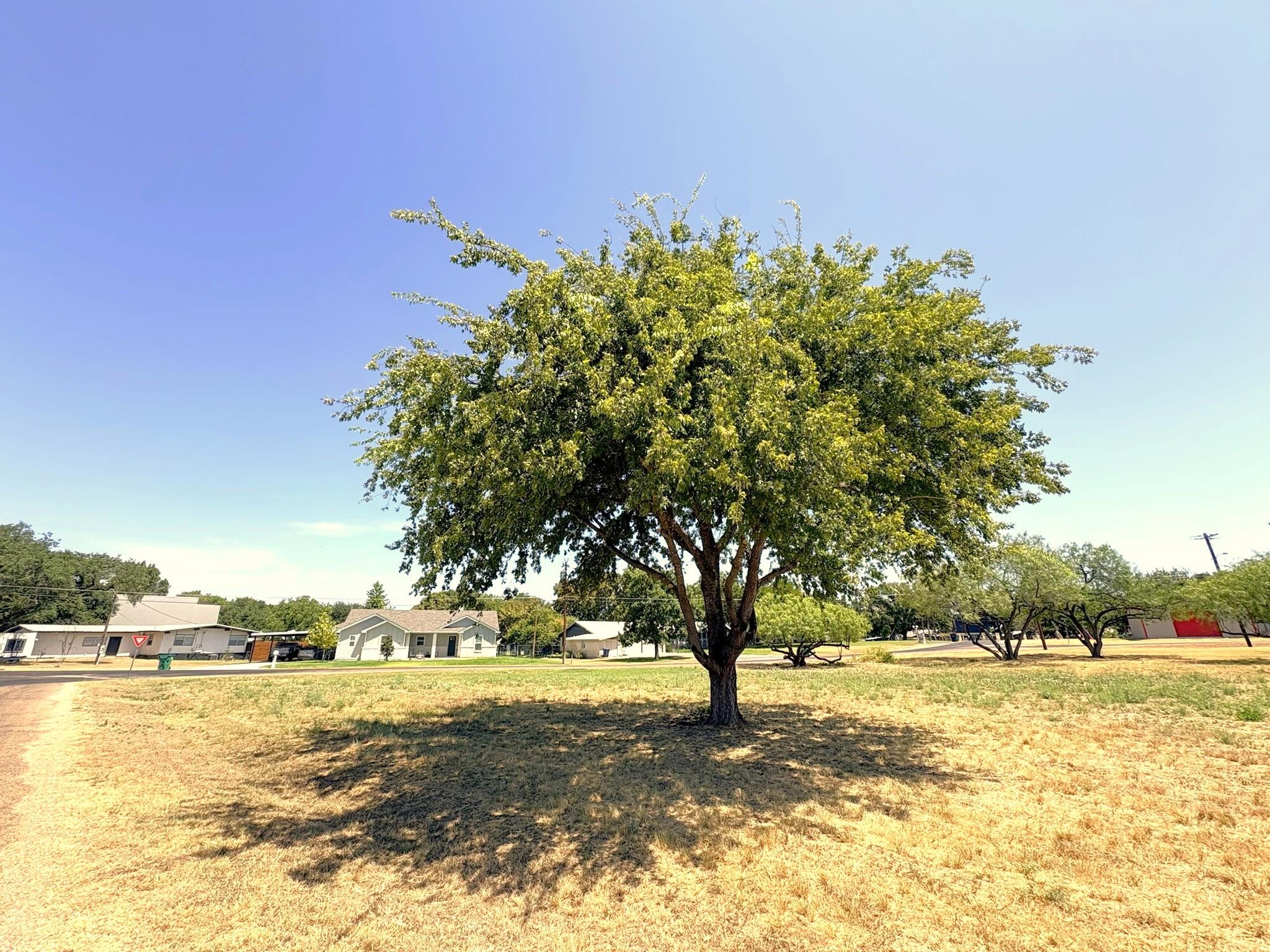 TBD Circle DR