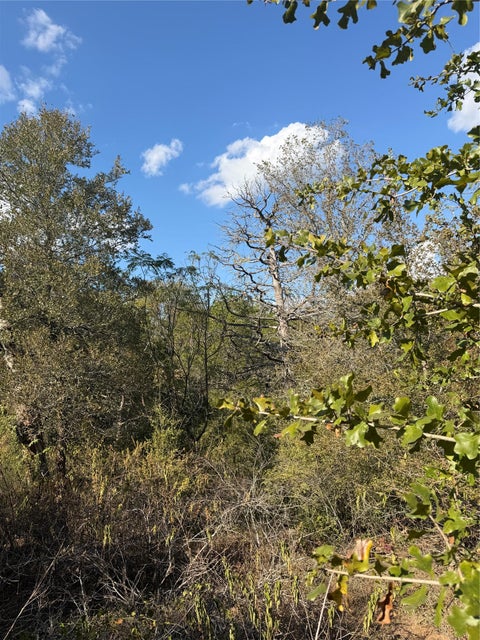 Photo of Lot 539 Palikea CIR, Bastrop, TX 78602 (MLS # 7757954)