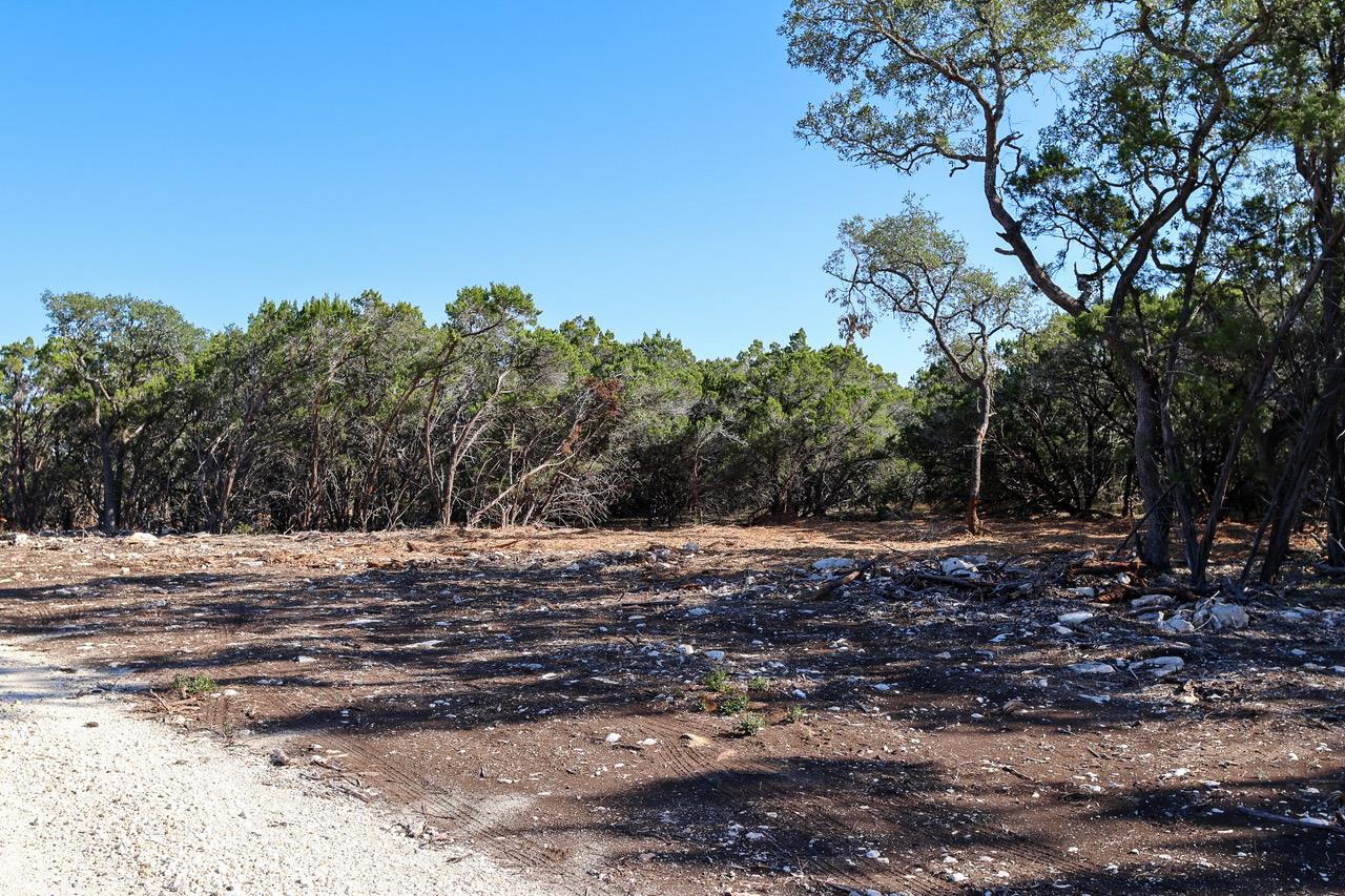 3101 - 1 Longhorn TRL