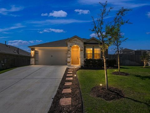 Photo of 3201 Dusted Daisey ST, Pflugerville, TX 78660 (MLS # 6196140)