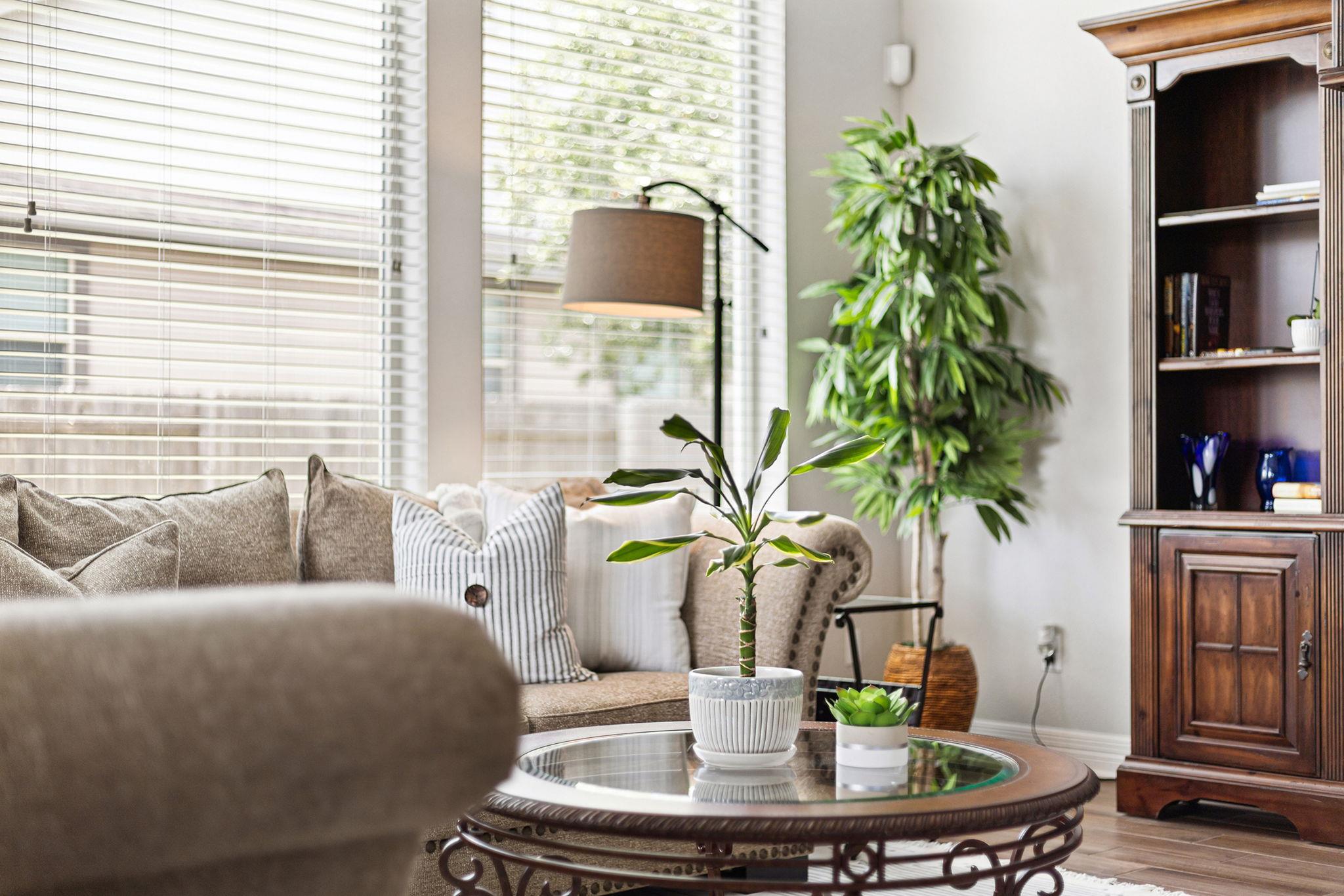 101 San Michelle CV