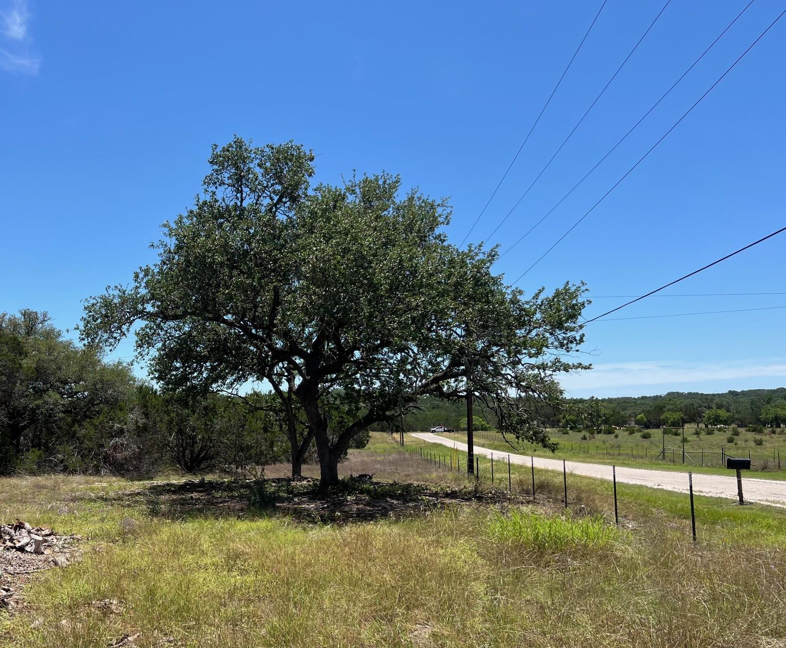 TBD Forest View DR 1