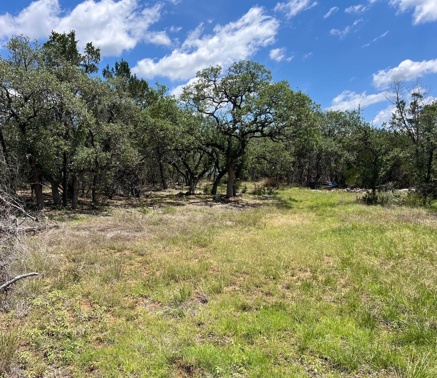 TBD Forest View DR 1