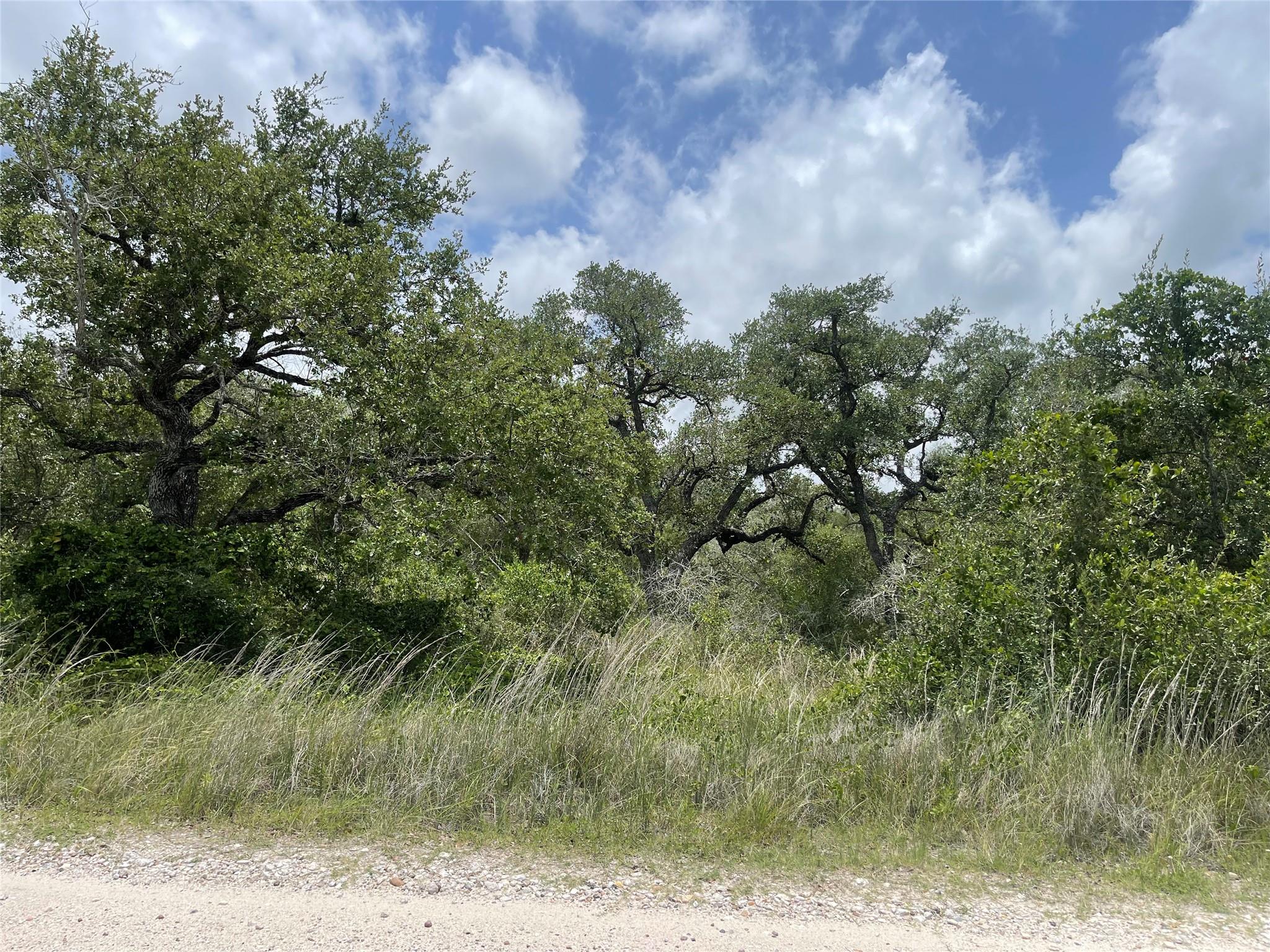 342 Whispering Woods DR