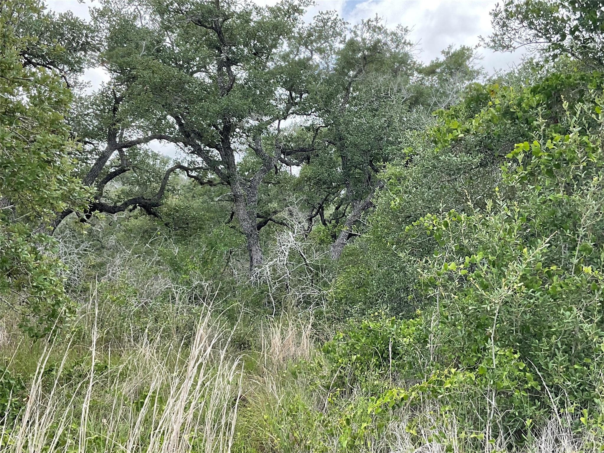 342 Whispering Woods DR