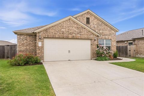 Photo of 13608 Bullhorn Acacia PASS, Manor, TX 78653 (MLS # 8127838)