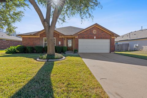 Photo of 1203 Crossvine WAY, Pflugerville, TX 78660 (MLS # 8513943)
