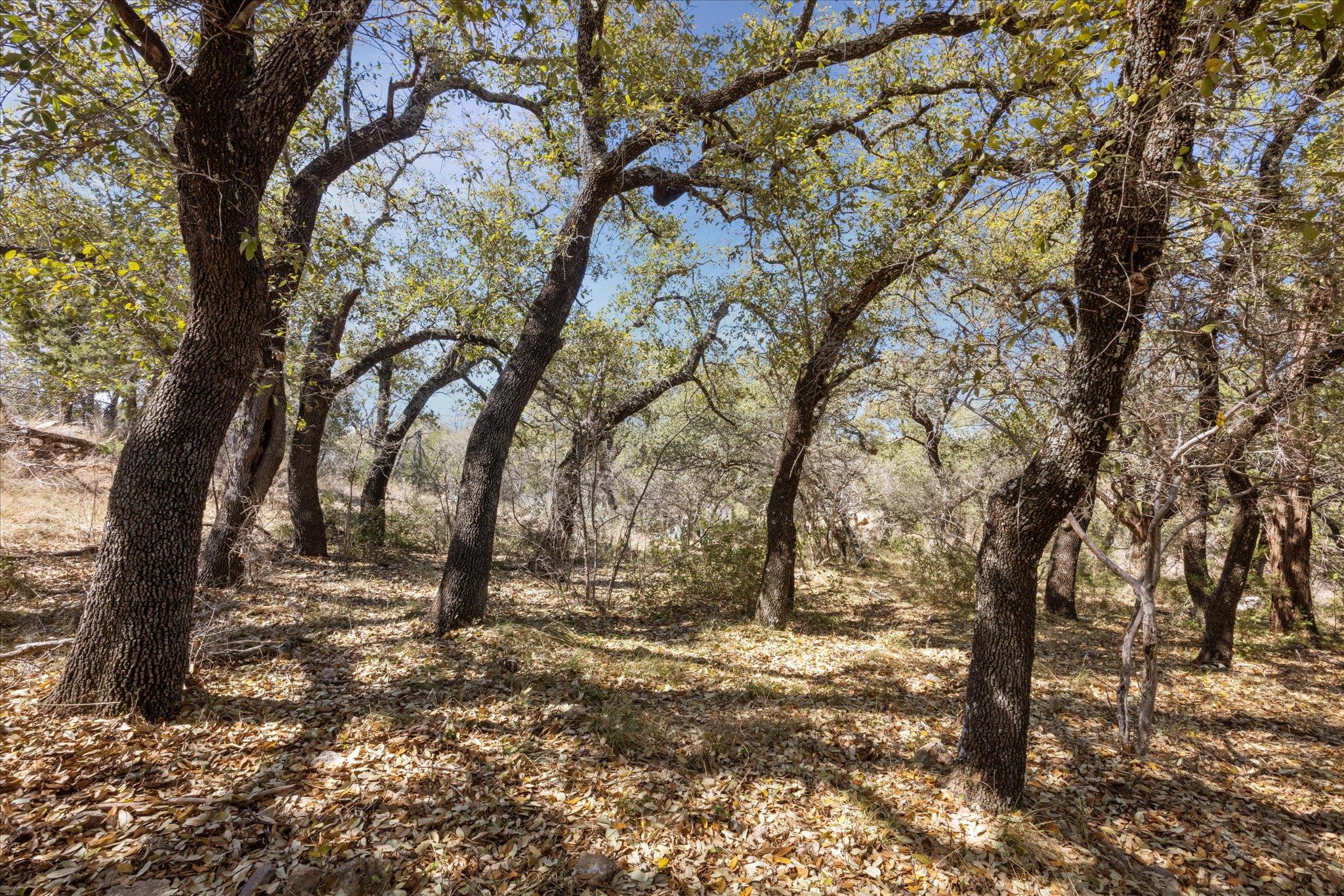 Lot 270 Sunnypoint DR