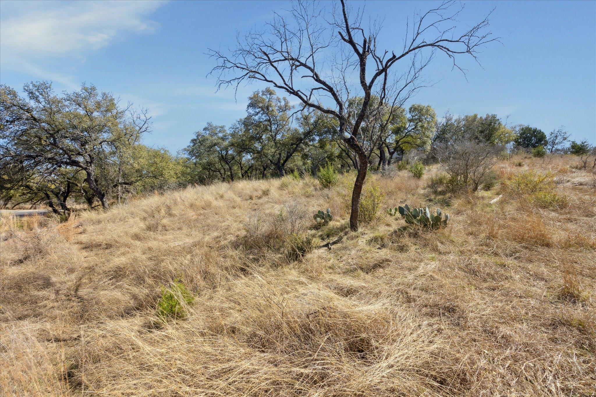 Lot 270 Sunnypoint DR
