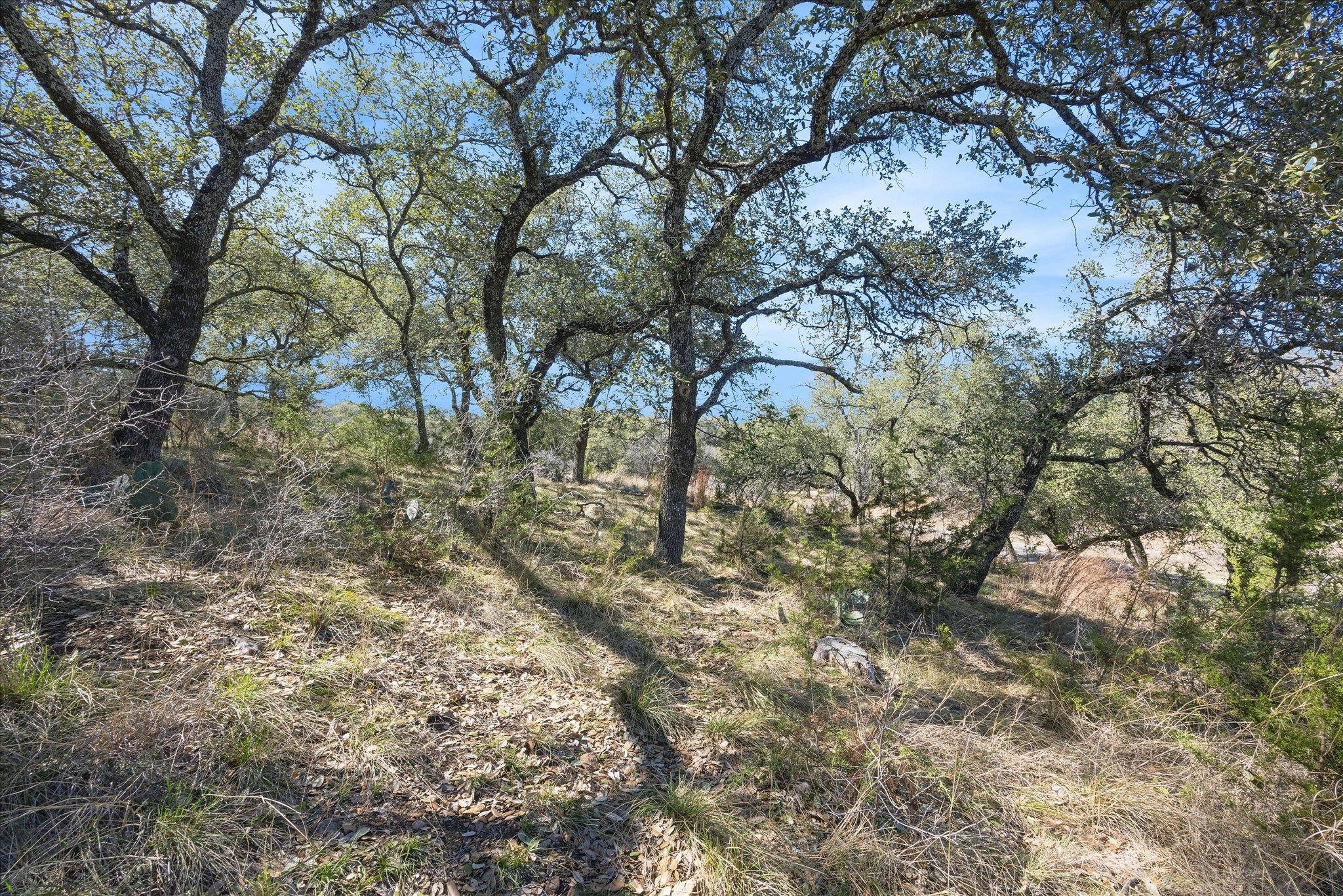 Lot 270 Sunnypoint DR