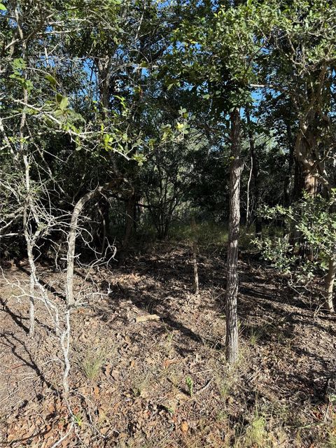 Photo of 152 Helemano DR, Bastrop, TX 78602 (MLS # 6733044)
