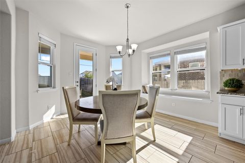 Tiny photo for 20417 Whimbrel CT, Pflugerville, TX 78660 (MLS # 1503041)