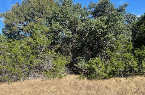 1366-E Narrows RD Blanco TX 78606