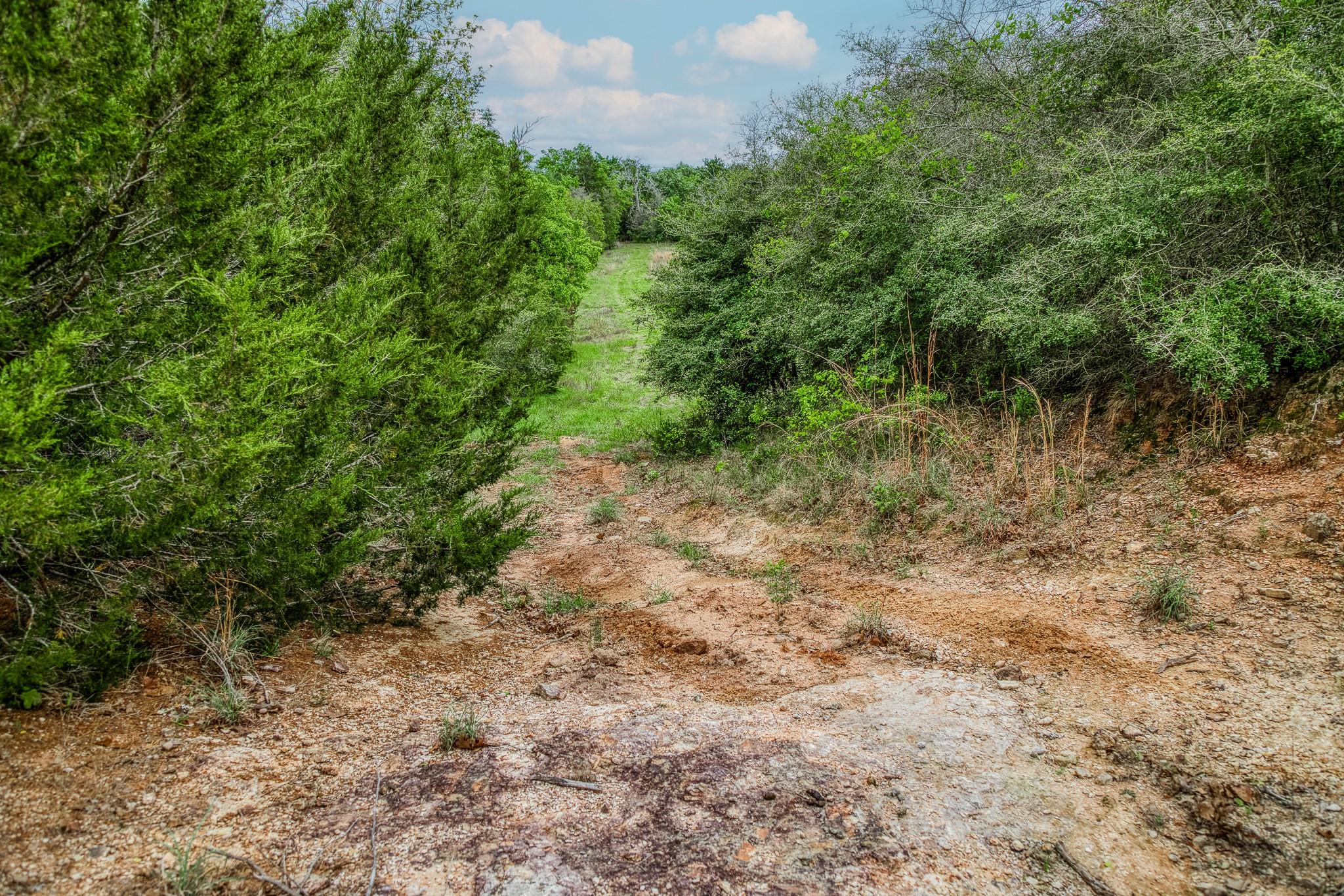 TBD (56.135 Acres) County Road 125