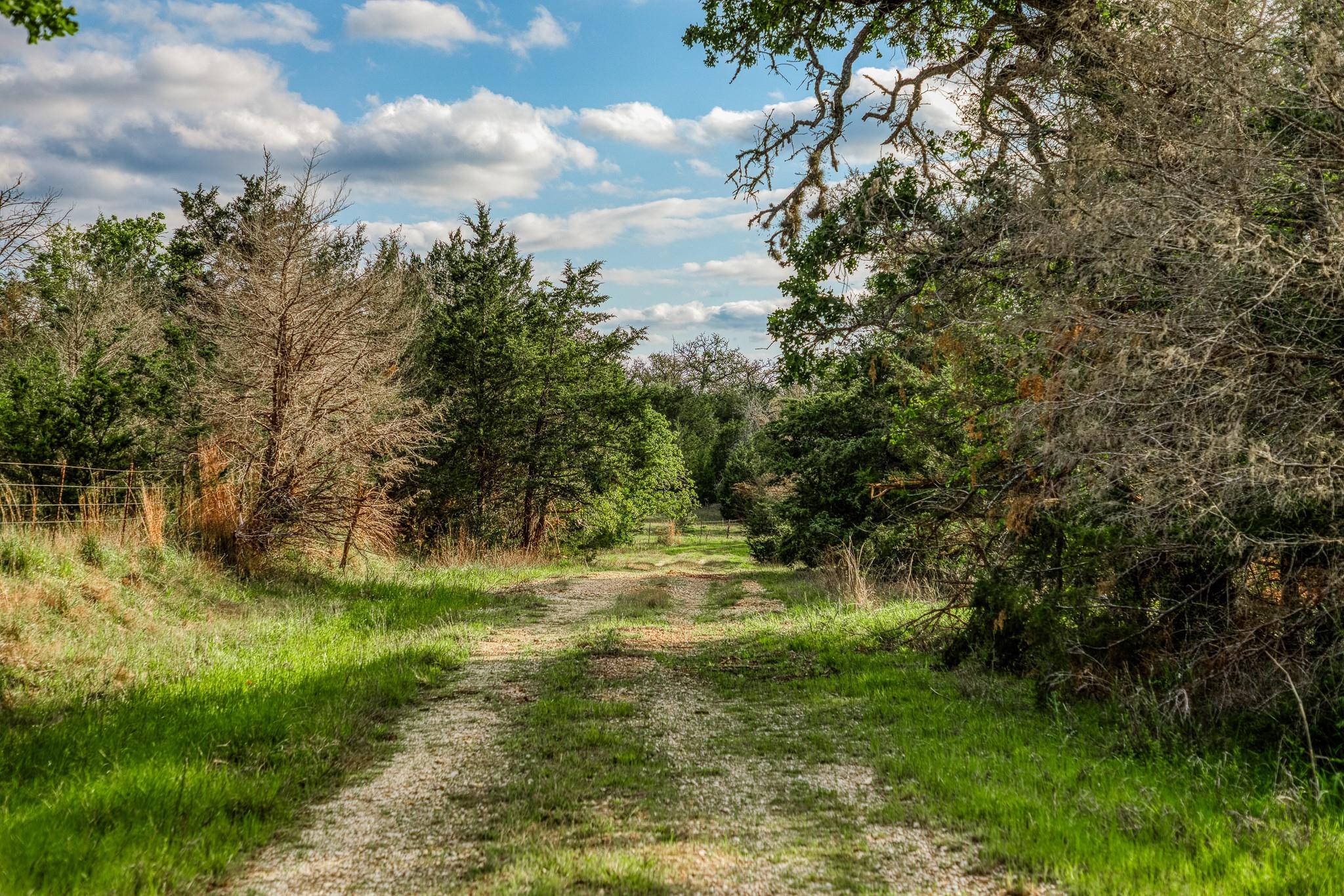 TBD (56.135 Acres) County Road 125
