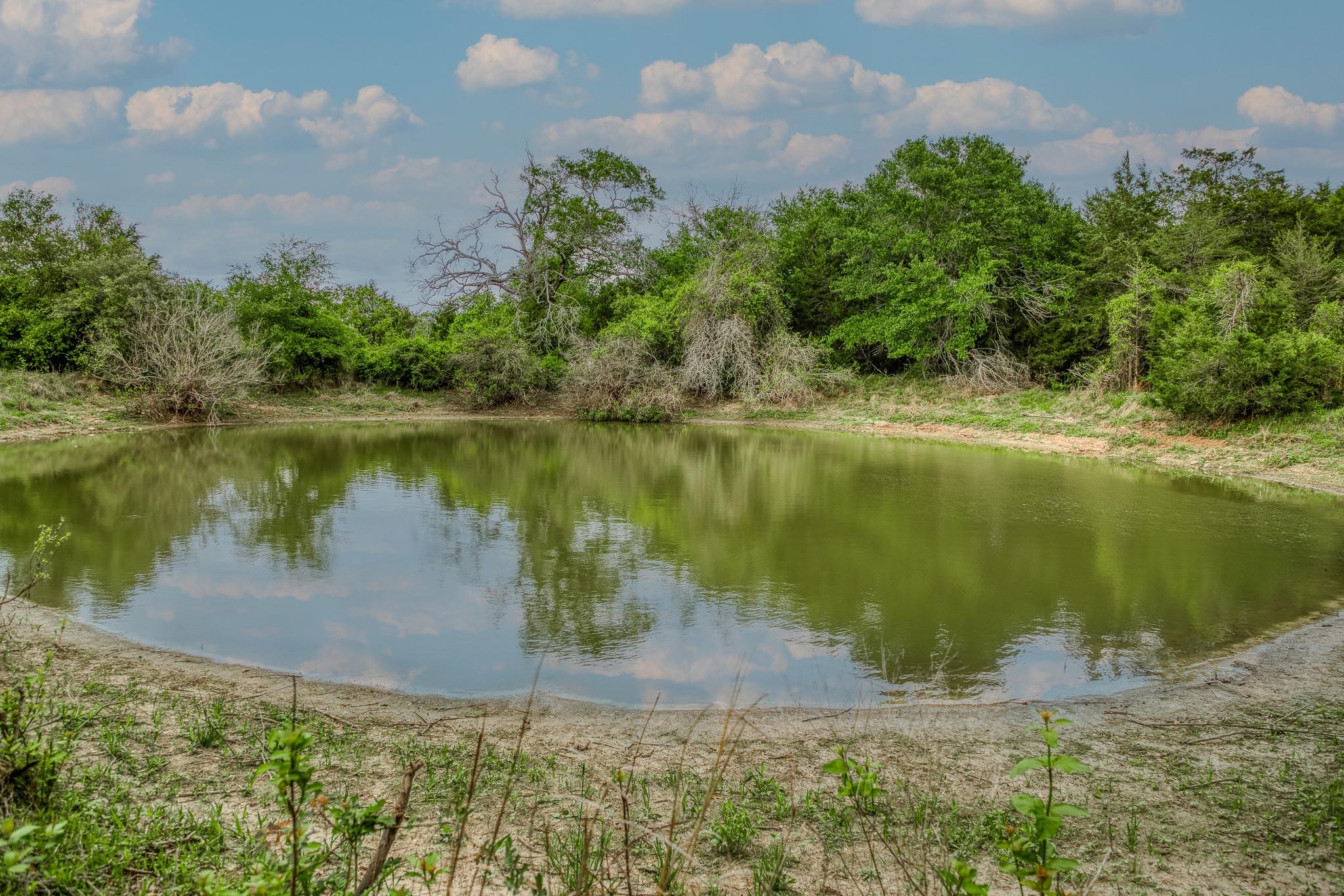 TBD (56.135 Acres) County Road 125