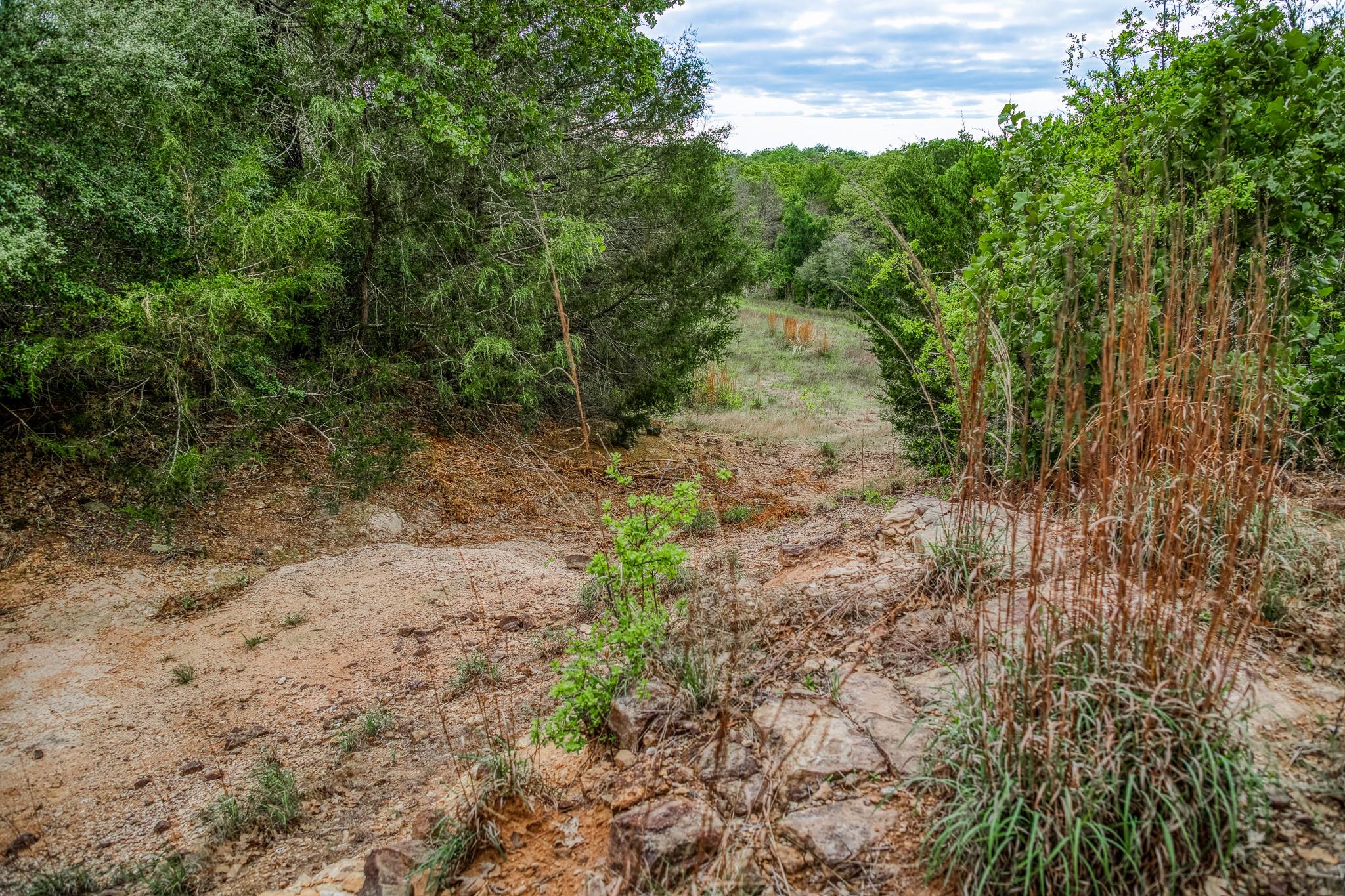 TBD (56.135 Acres) County Road 125