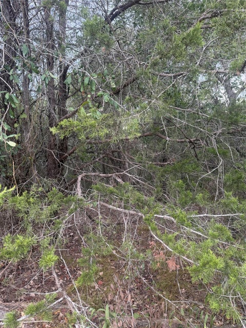 Photo of 223 Mokulua LN, Bastrop, TX 78602 (MLS # 3511029)