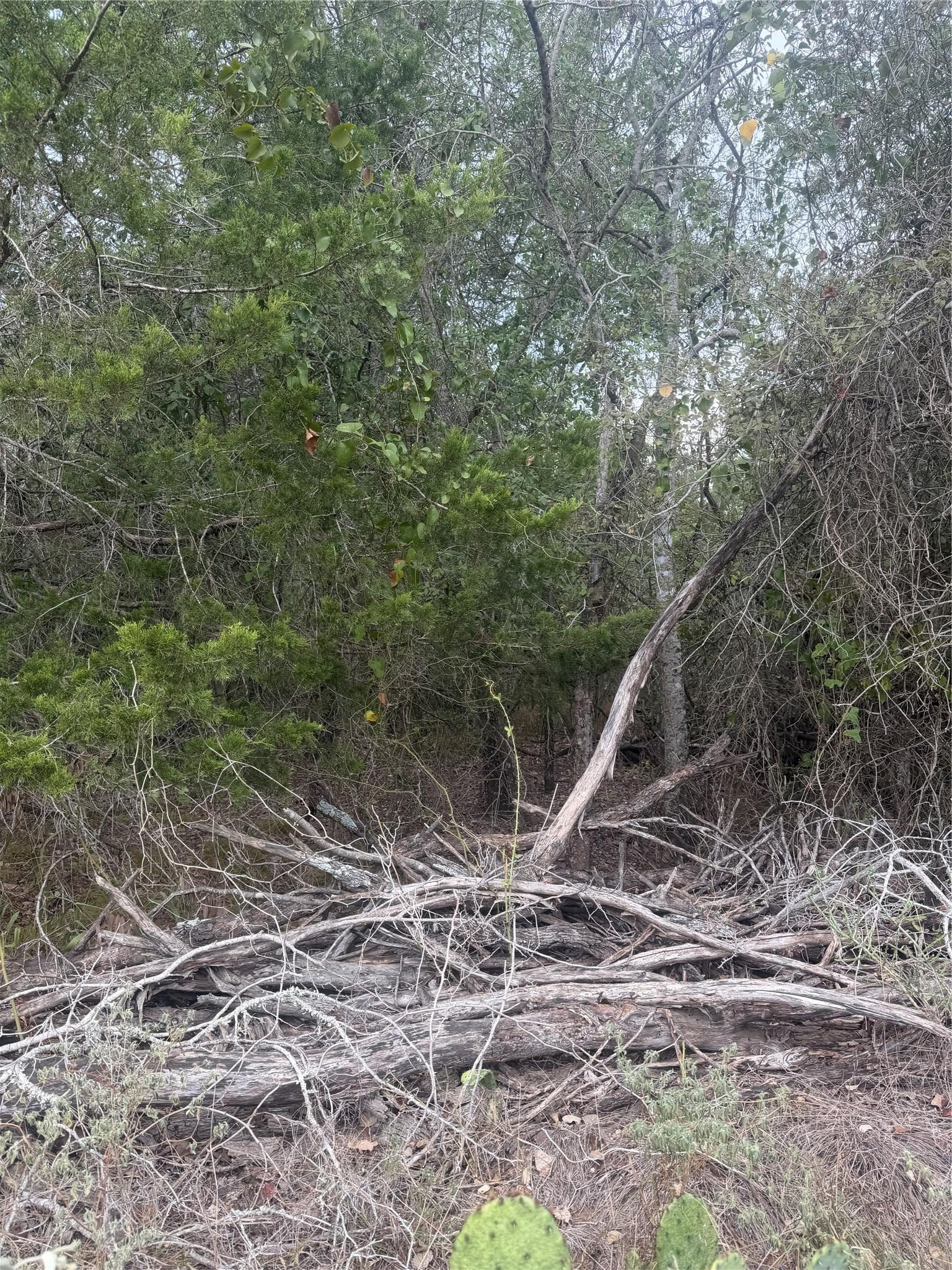 223 Mokulua LN