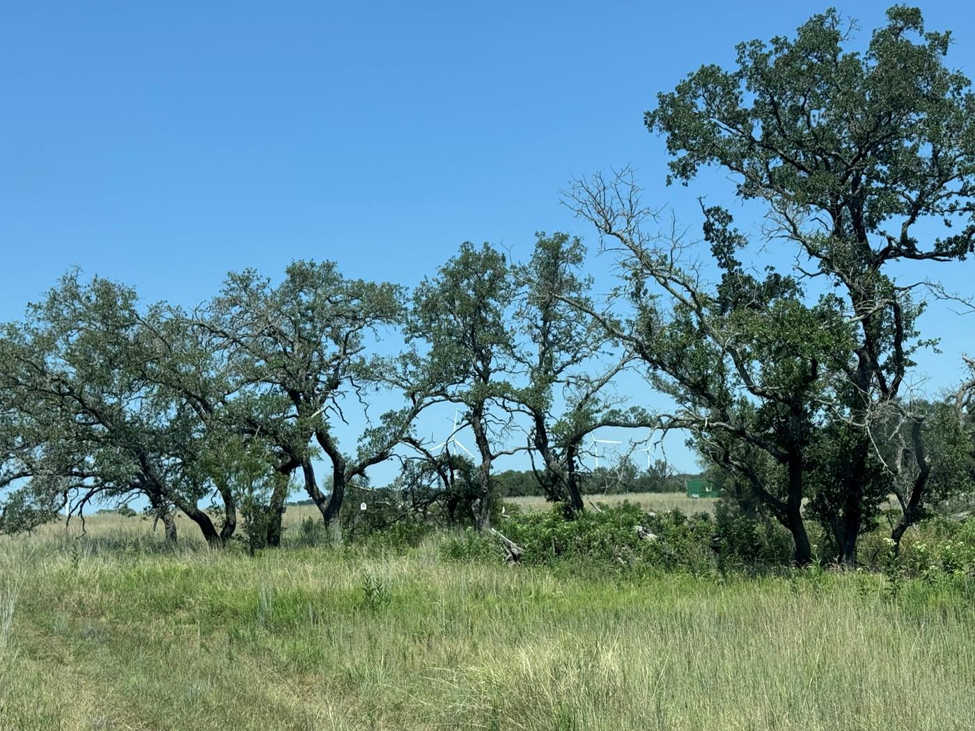 57 County Road 330