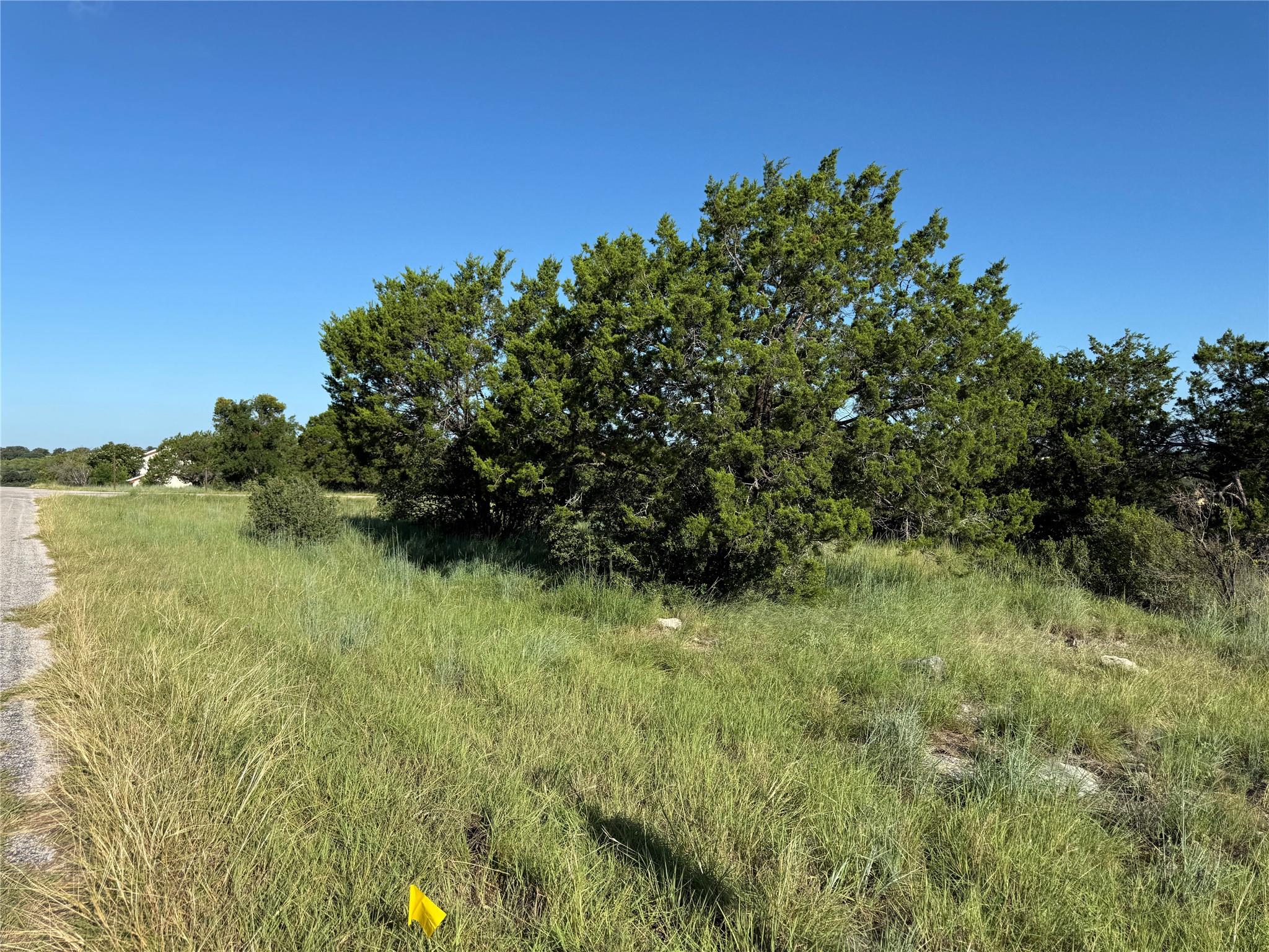 Lot 22244 Westward Ho/Long Shot