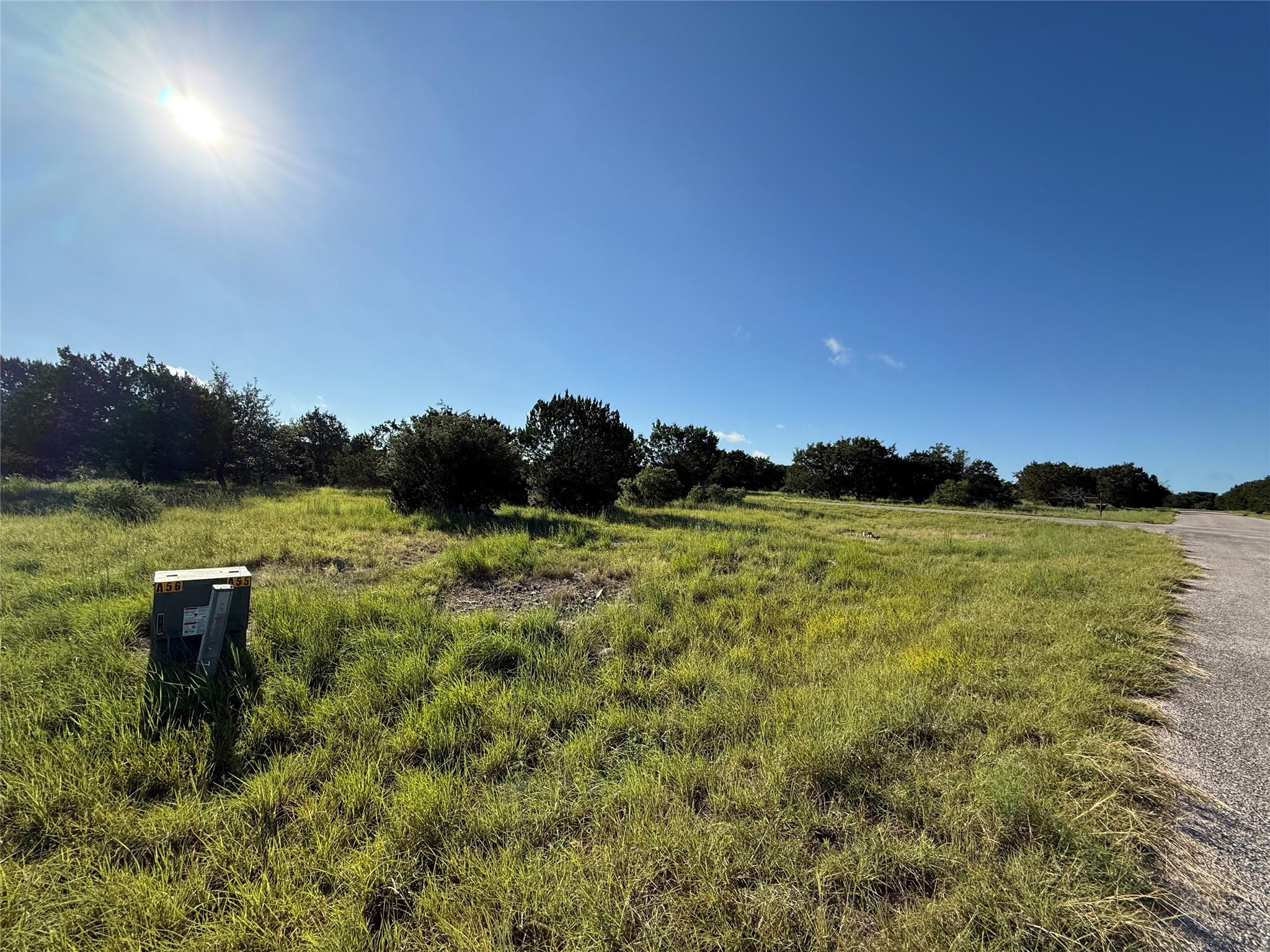 Lot 22244 Westward Ho/Long Shot
