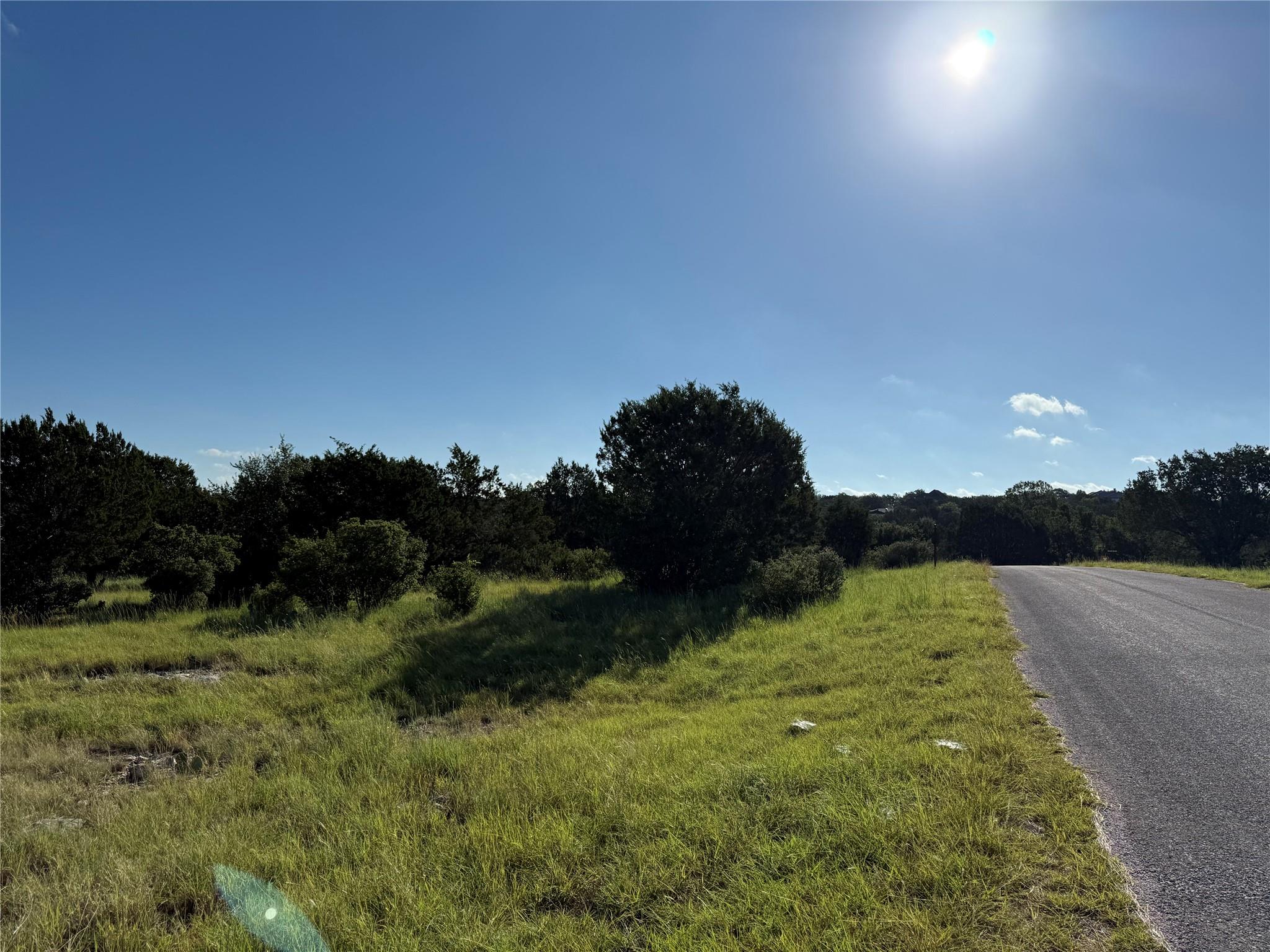 Lot 22244 Westward Ho/Long Shot