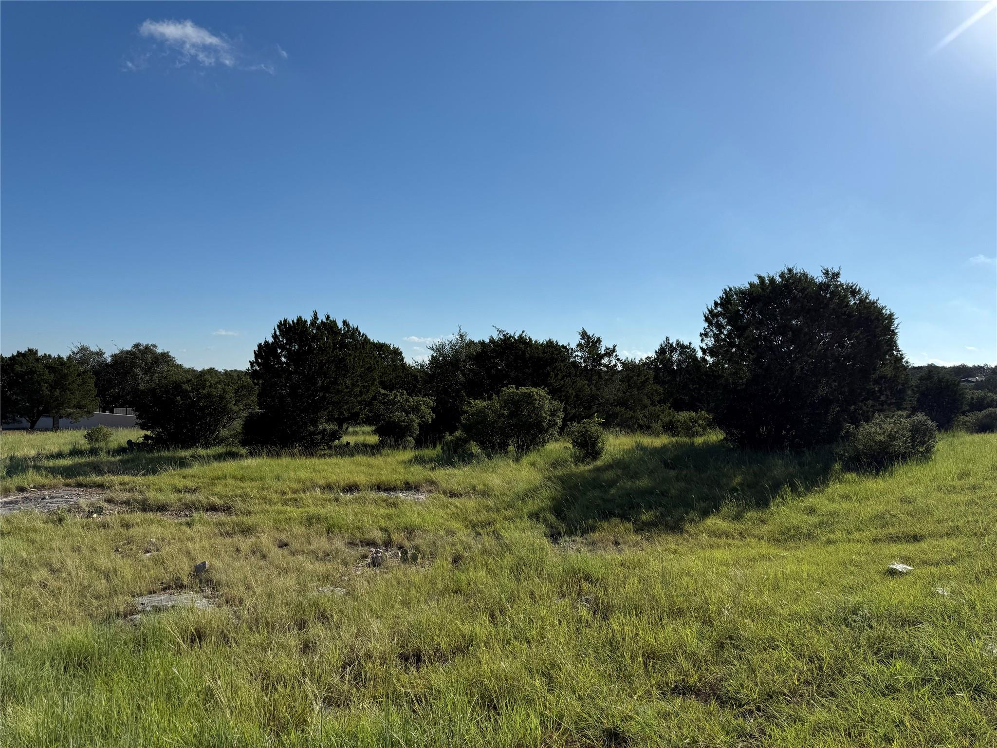Lot 22244 Westward Ho/Long Shot