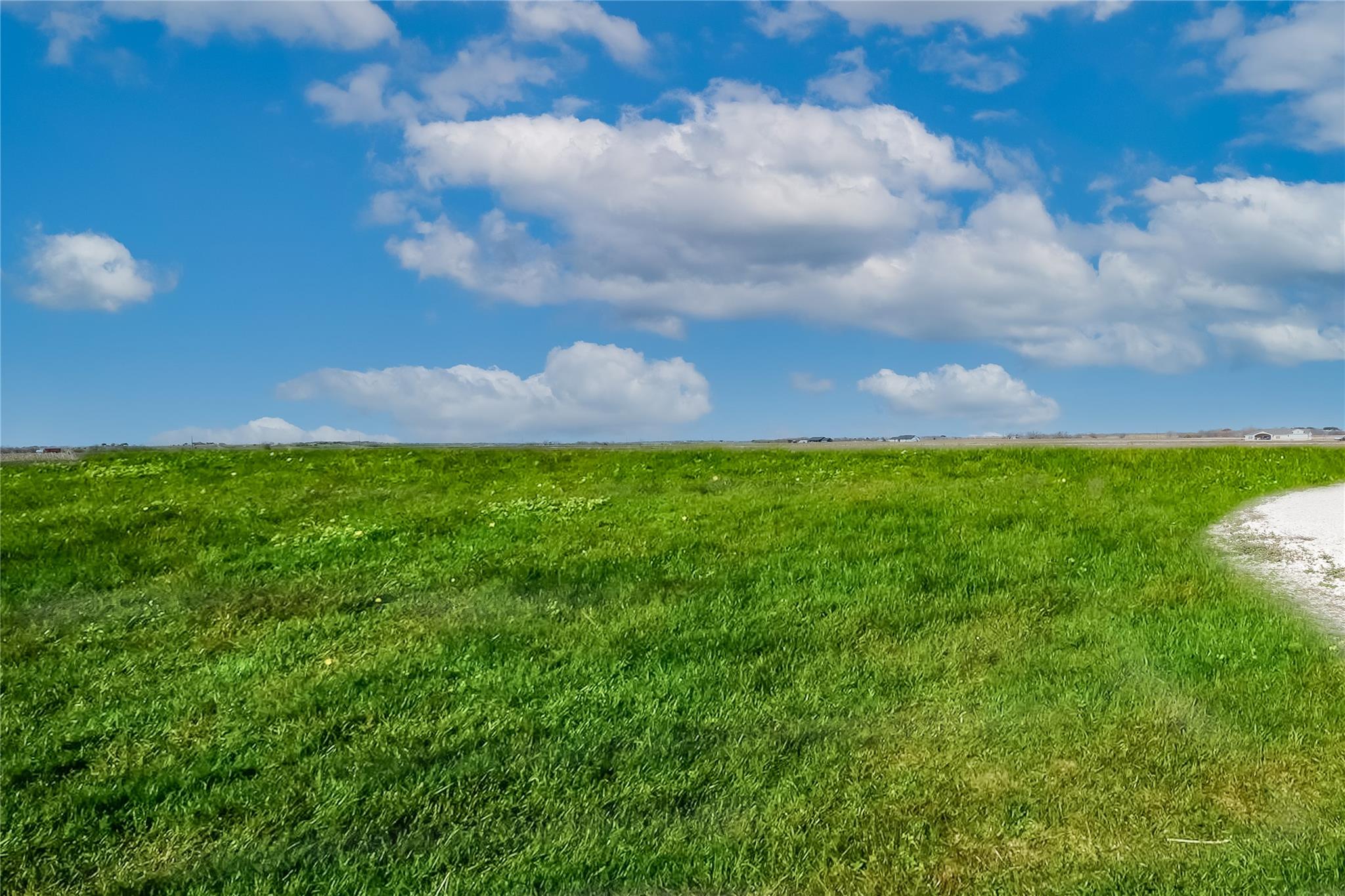 TBD County Road 445 Tract 1