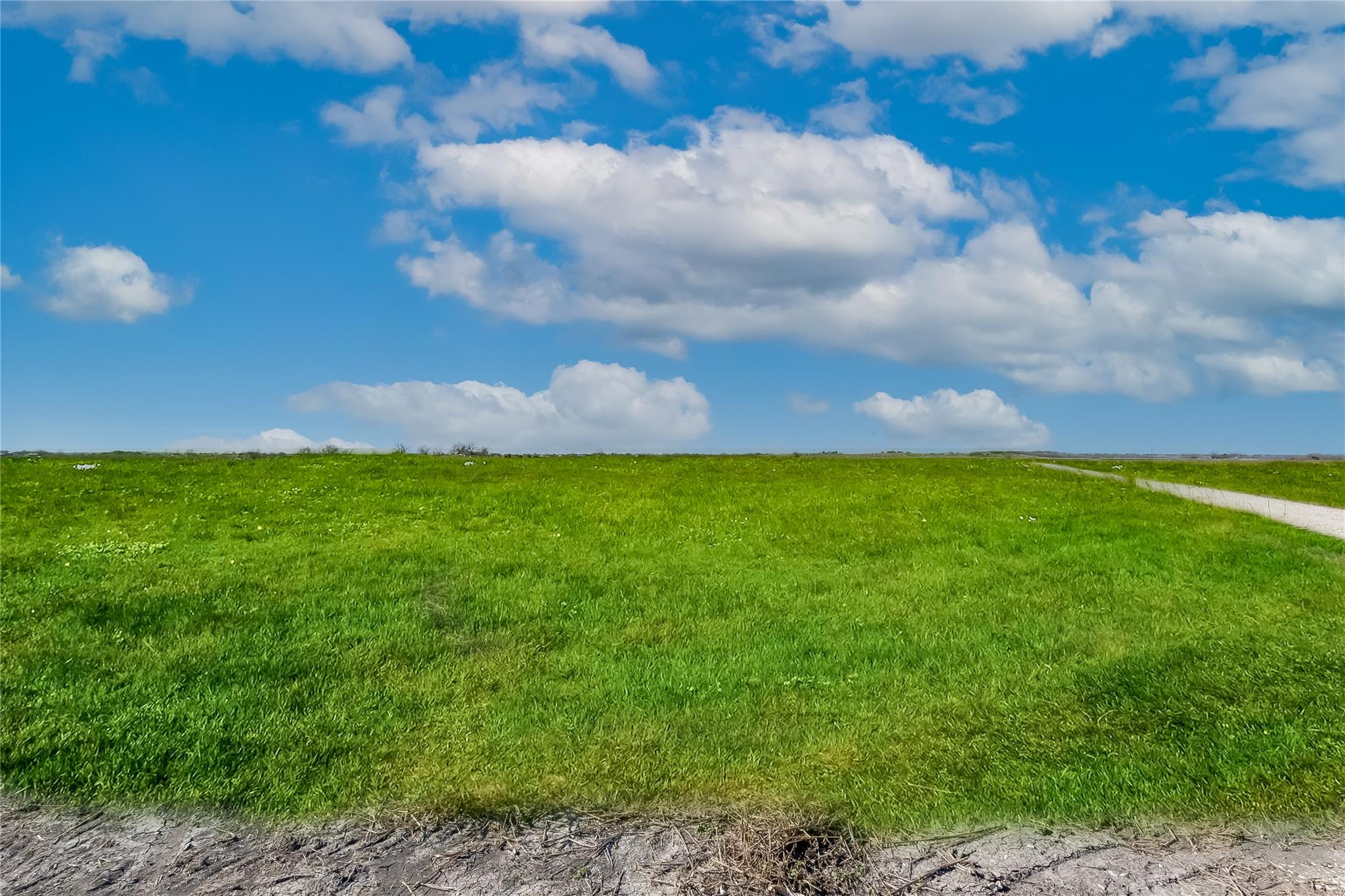 TBD County Road 445 Tract 1