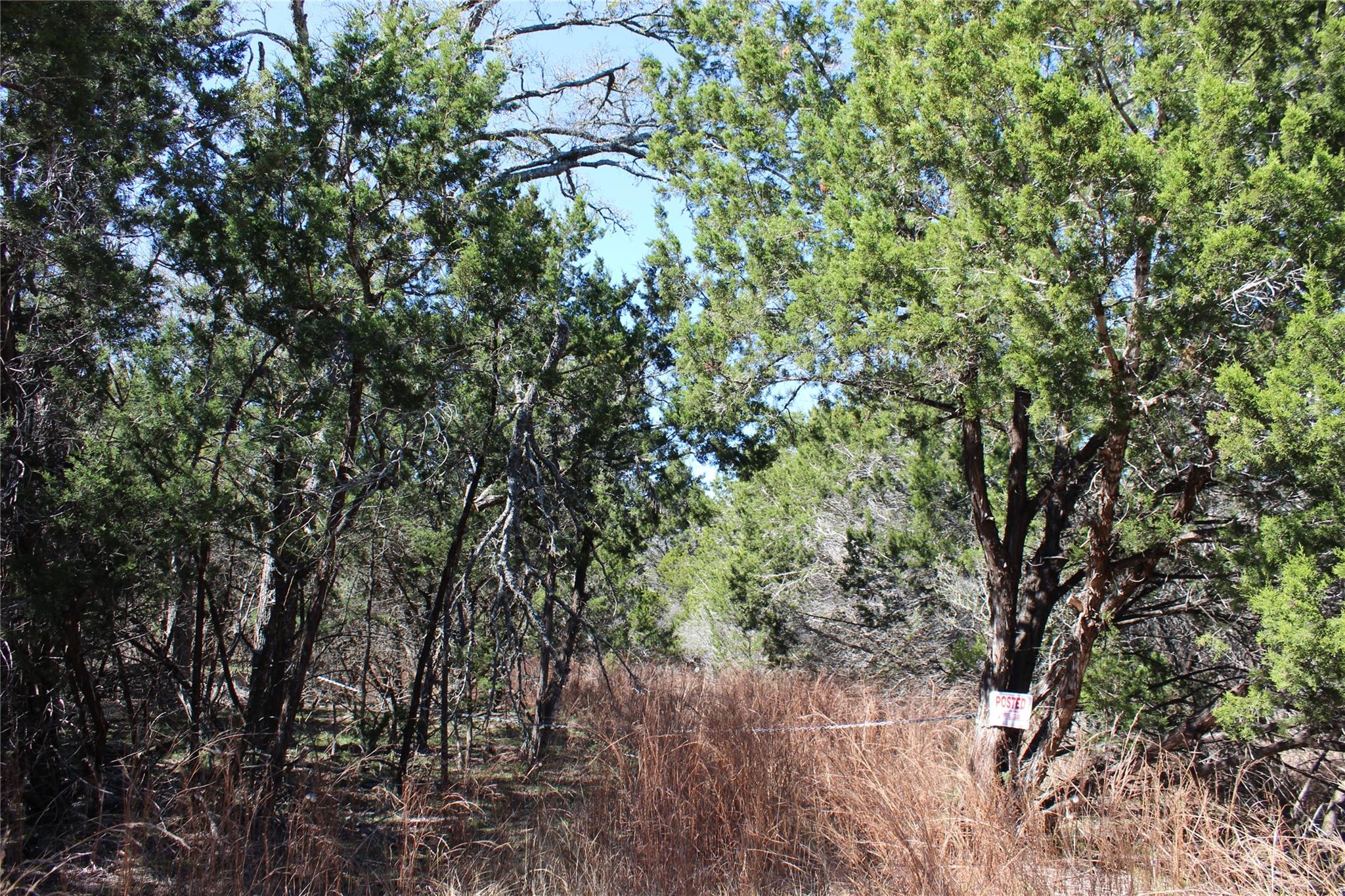 TBD Oak Run DR

                                                                             Wimberley                                

                                    , TX - $849,000