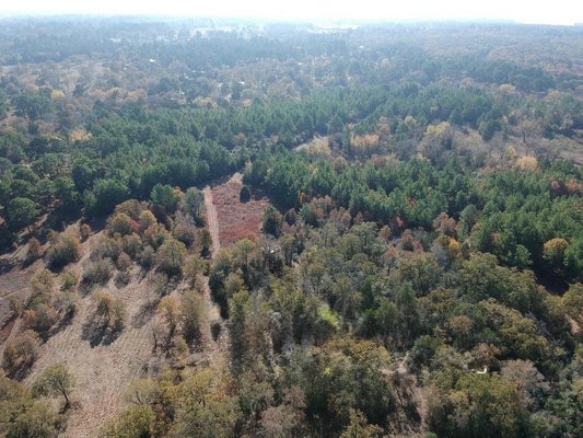 319 MATTHEW CV, BASTROP, TX 78602 - Image 20f352b3bc85145a7c80fbc3633b8efc/2099322707