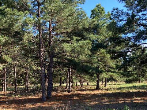 Photo of 147 Oak Leaf DR, Bastrop, TX 78602 (MLS # 1378864)