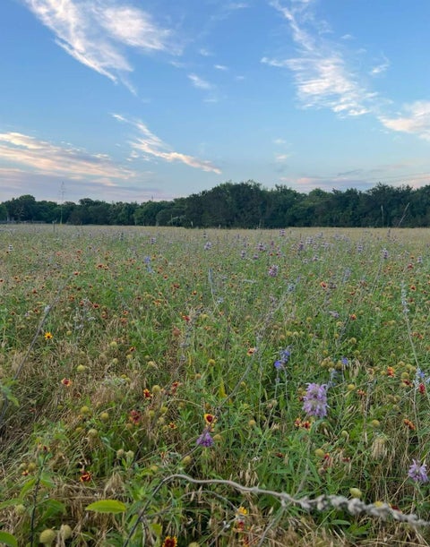 Tiny photo for 10214 Bilbrook PL, Austin, TX 78748 (MLS # 3675234)