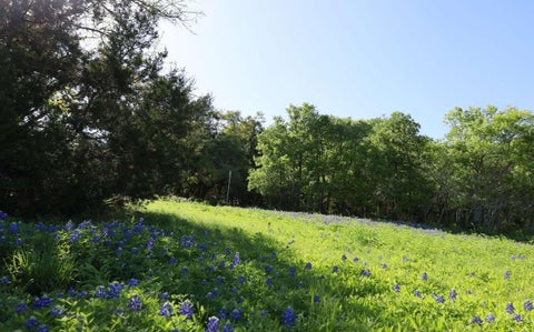 Tiny photo for 10214 Bilbrook PL, Austin, TX 78748 (MLS # 3675234)