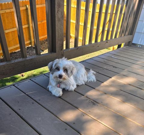 Tiny photo for 21109 Santa Paula Ave, Lago Vista, TX 78645 (MLS # 7331738)