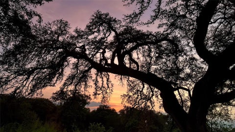 Tiny photo for 1706 Windoak DR, Austin, TX 78741 (MLS # 7365493)