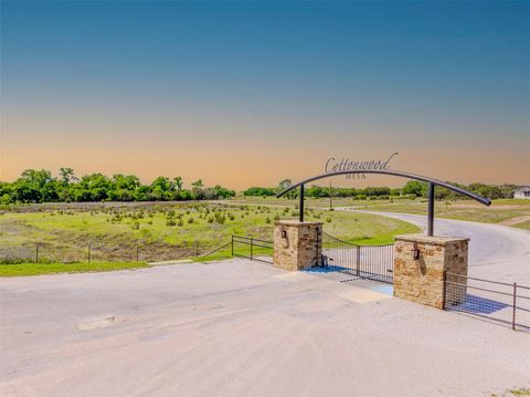 1517 Cottonwood Mesa DR Kempner TX 76539