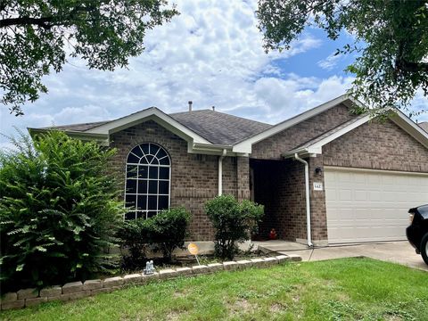 142 Amber Oak DR Kyle TX 78640