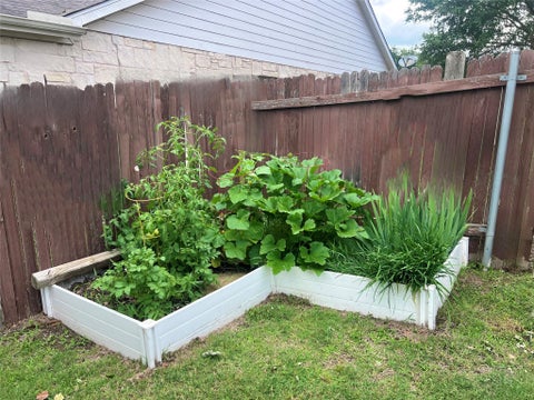 Tiny photo for 17705 Mahonia LN, Elgin, TX 78621 (MLS # 1280443)