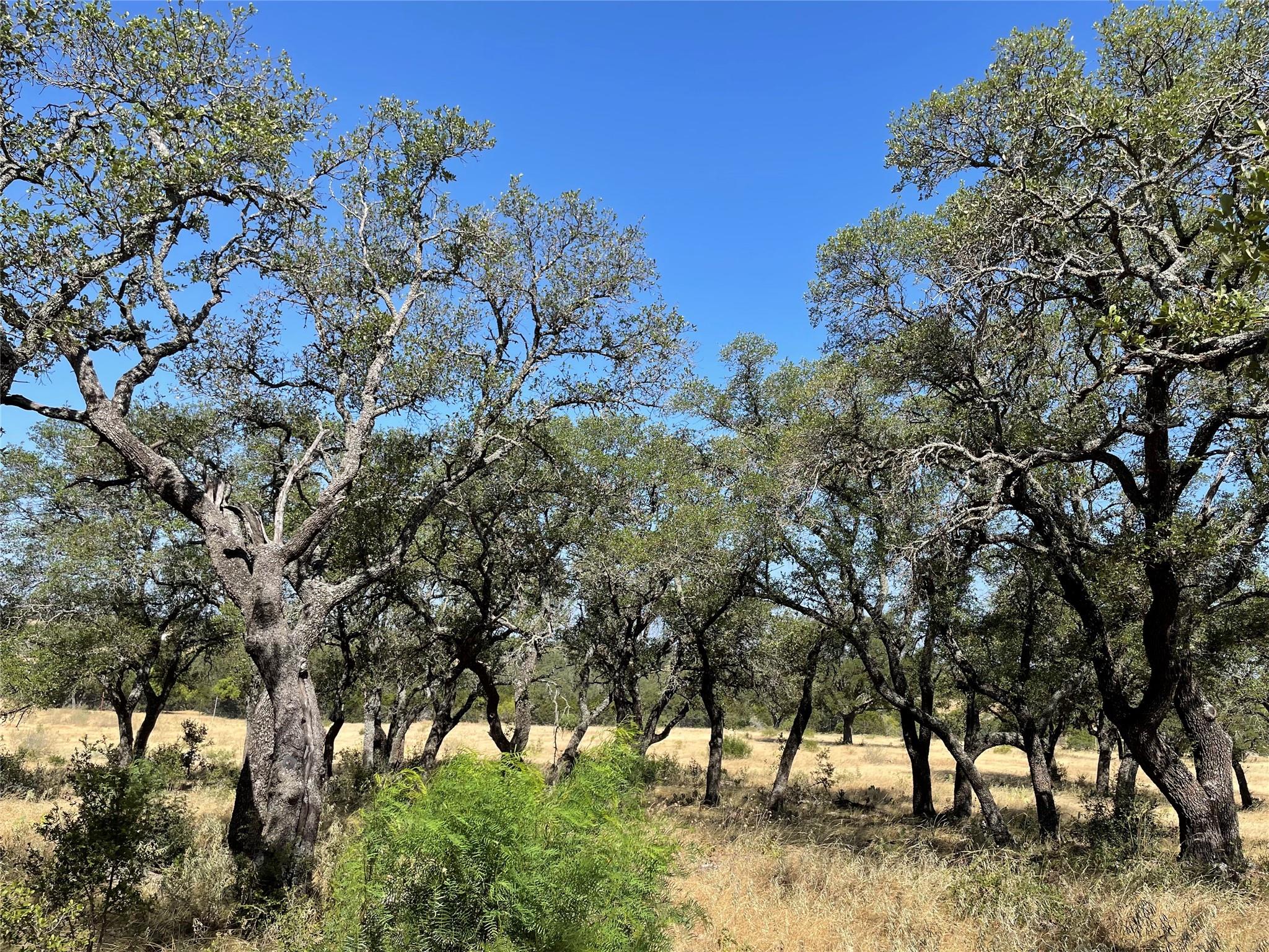 TBD Rocky Hollow Lot 121 DR