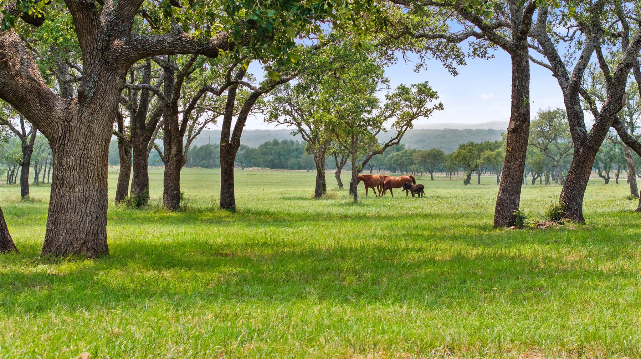 3576 Klett Ranch Road