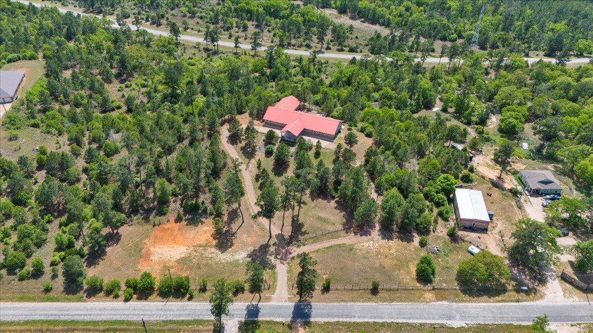 178 Pine Tree LOOP