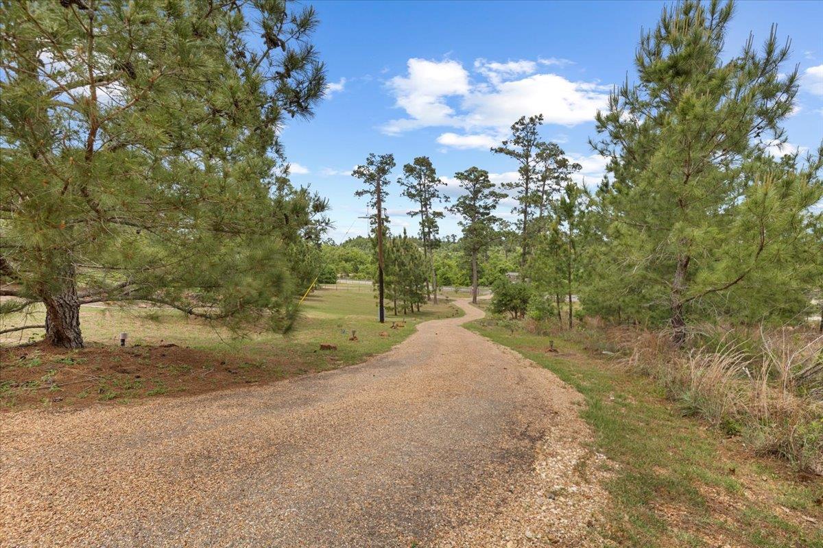 178 Pine Tree LOOP