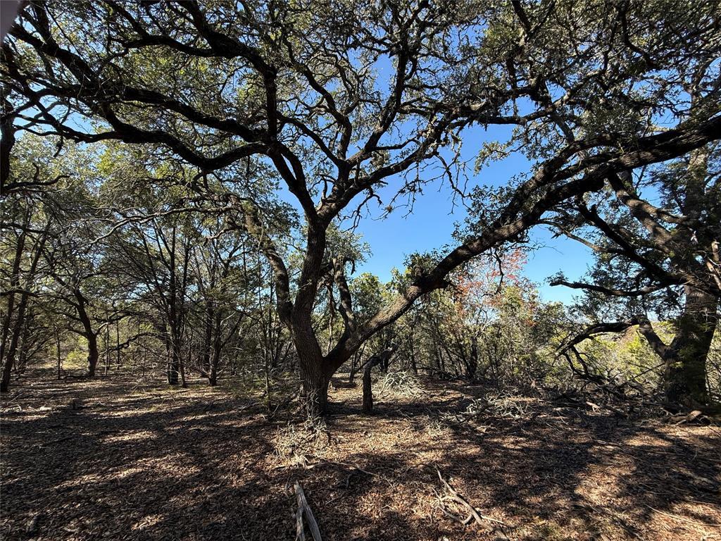 221 Ranch House RD